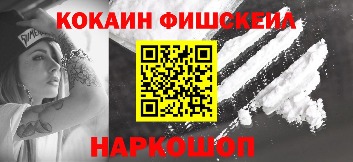 COCAIN Fish Scale  Вход с VPN  Сегежа  COCAIN Fish Scale 