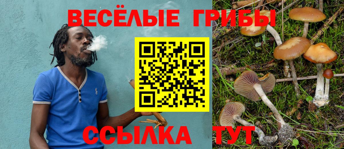 Псилоцибиновые грибы Psilocybine cubensis  Вход с VPN  Сегежа 