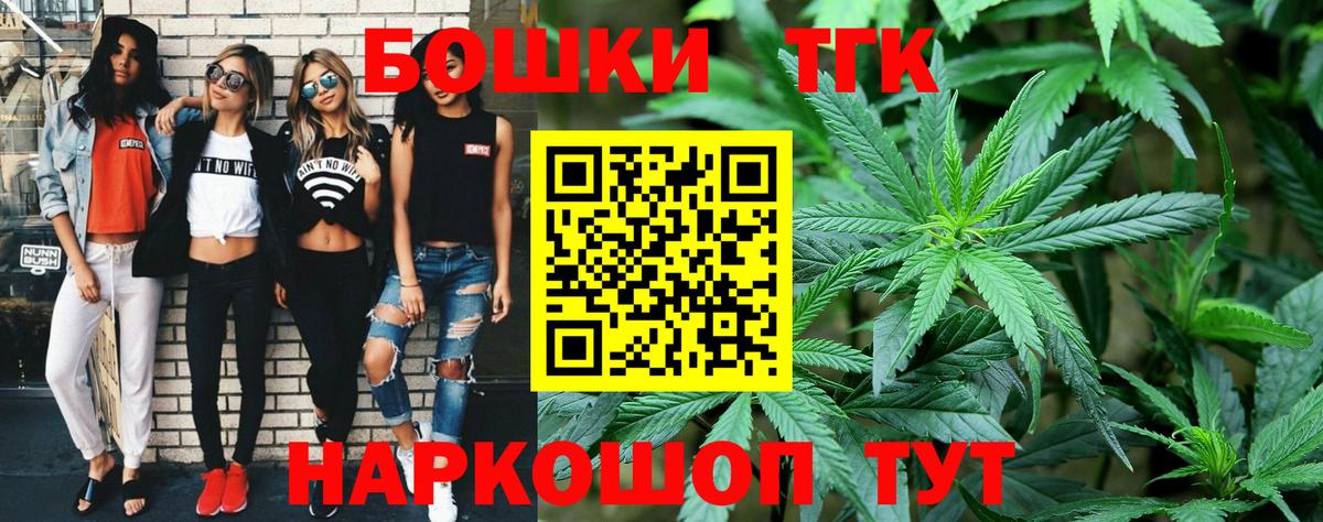 Конопля сатива Сегежа